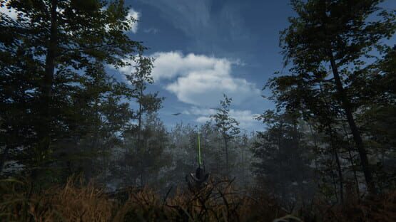 Screenshot Deranged Park Rangers