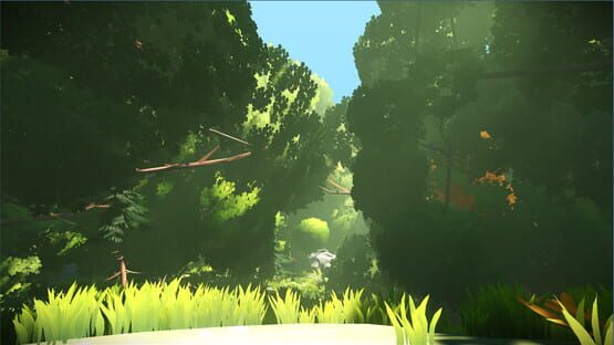 Screenshot Look to the Birds