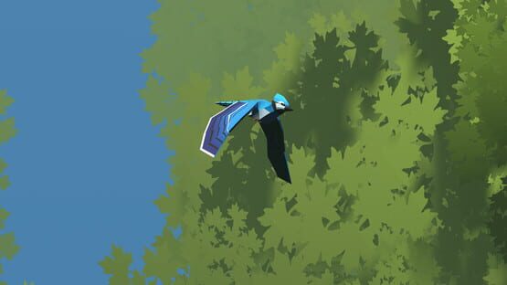 Screenshot Look to the Birds