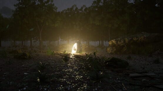 Screenshot Silent Code