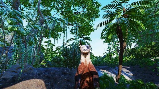 Screenshot VR Animal Kids Rumble