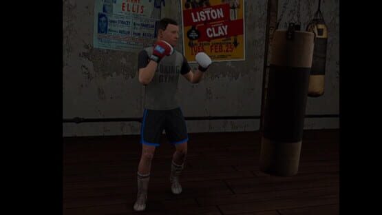 Screenshot True Boxing VR
