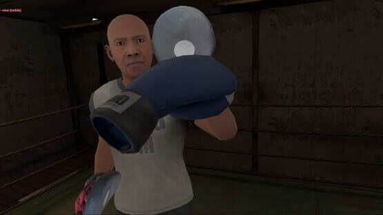 Screenshot True Boxing VR