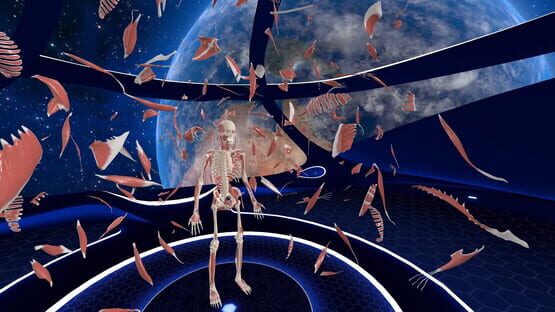 Screenshot Elementary Anatomy: With Story Mode