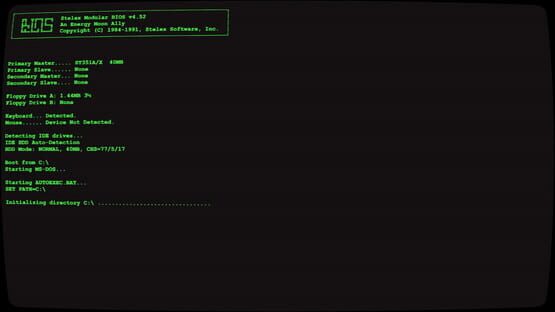 Screenshot Unknown Terminal