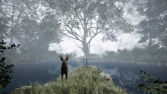 Screenshot TheLostWoods