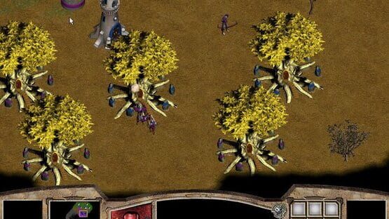 Screenshot Warlords Battlecry
