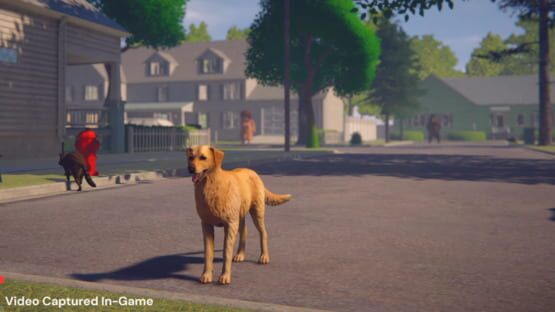Screenshot Whose Lawn Is It Anyway