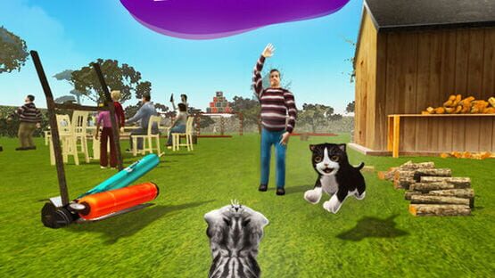 Screenshot Cat Simulator 2015