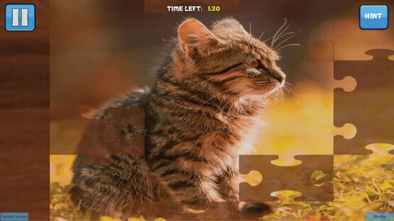 Screenshot Bepuzzled Kittens Jigsaw Puzzle