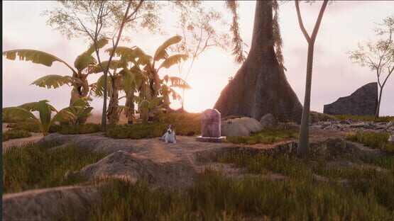 Screenshot Blood Field