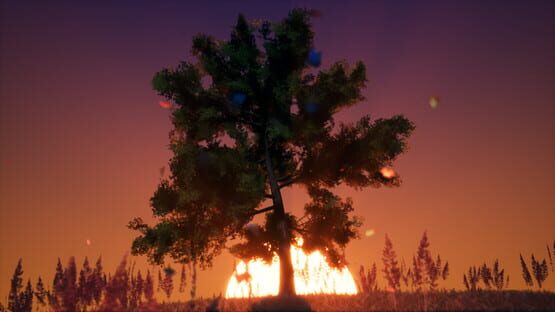 Screenshot Immersive Poetry