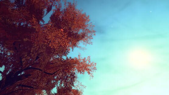 Screenshot Sea of Leaves