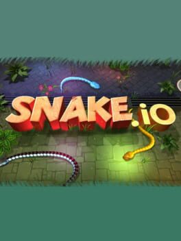 Cover 3D Snake . io