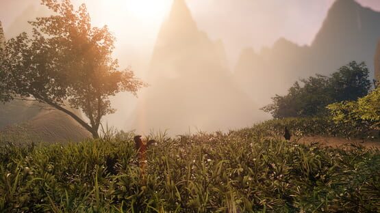 Screenshot Drizzlepath