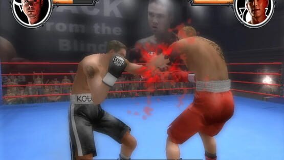 Screenshot Shadow Boxing 2