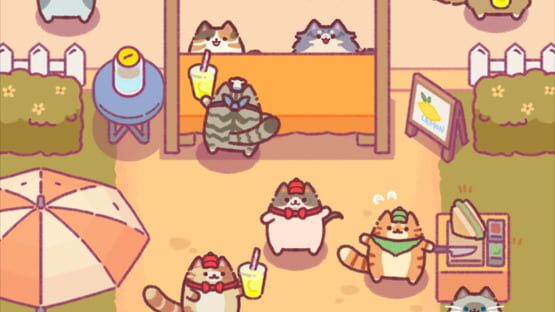 Screenshot Cat Snack Bar