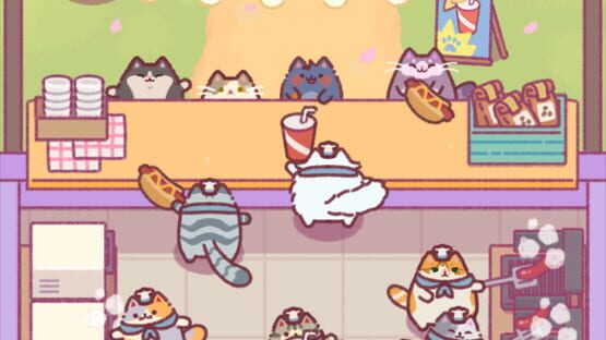 Screenshot Cat Snack Bar