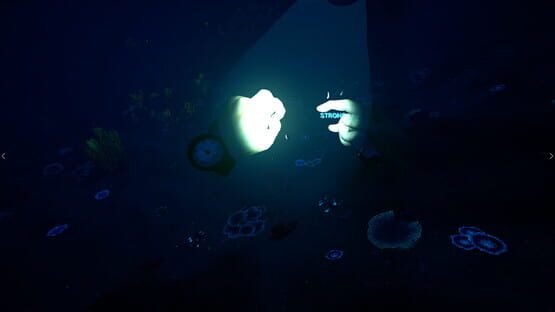 Screenshot Bodies of Water VR 2