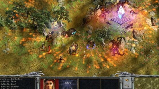 Screenshot Age of Wonders: Shadow Magic