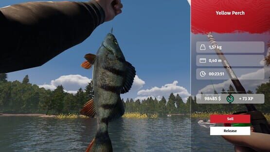 Screenshot MLF: Pro Catch