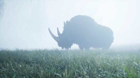 Screenshot Primitive