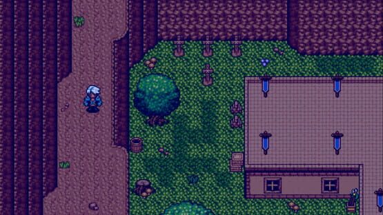 Screenshot IronBorn