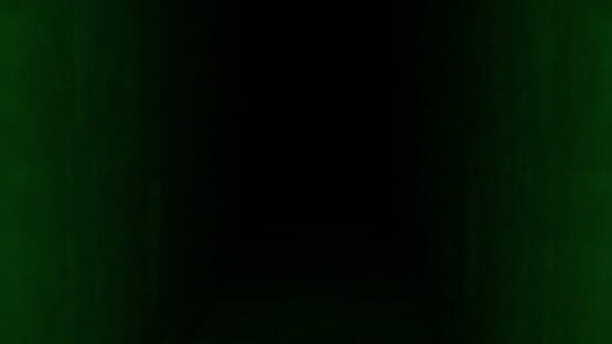 Screenshot FeedVid