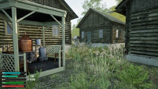Screenshot Russian Village Simulator