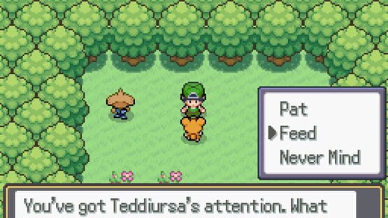 Screenshot Pokemon Daycare