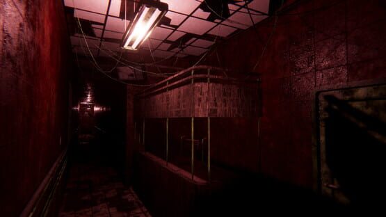 Screenshot Sorrow Asylum 2