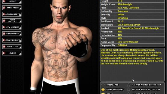 Screenshot World of Mixed Martial Arts 3