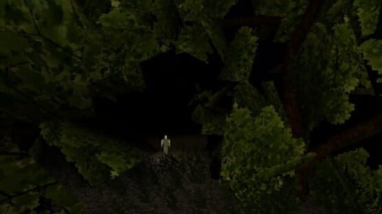 Screenshot Scarecrow Co-op 2