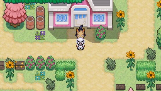Screenshot Pokémon Beekeeper