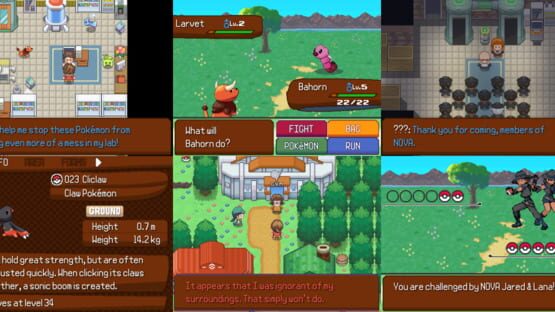 Screenshot Pokémon Ethos