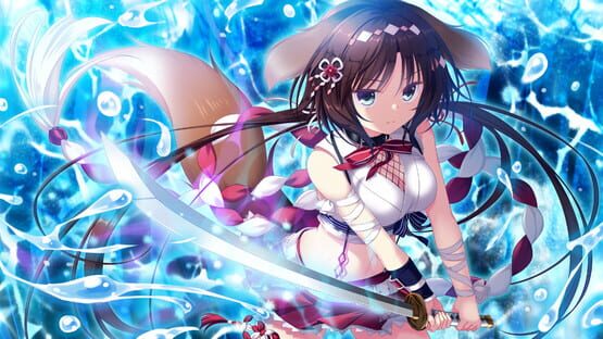 Screenshot Neko-Nin ExHeart 3