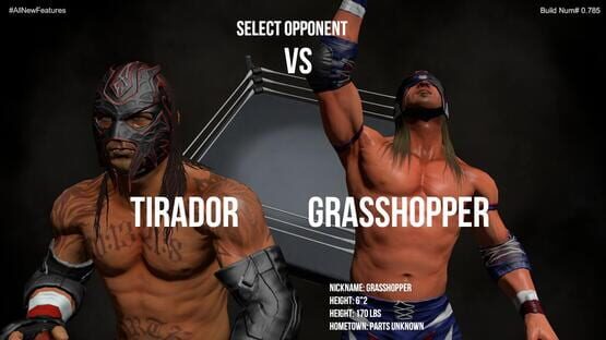Screenshot Pro Wrestling X