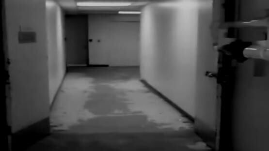 Screenshot Five Nights at Pikachu's