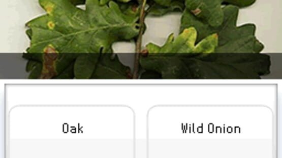Screenshot Wildlife Greenhouse