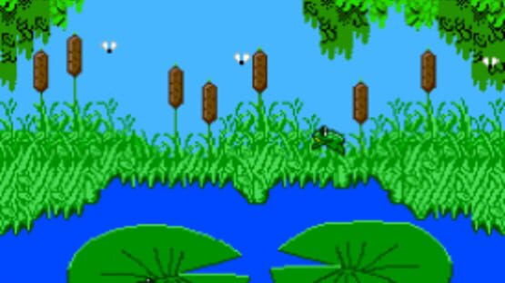 Screenshot Frog Feast 2
